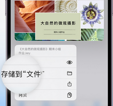 南宁apple维修中心分享iPhone文件应用中存储和找到下载文件