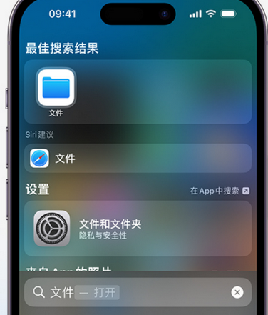 南宁apple维修中心分享iPhone文件应用中存储和找到下载文件 