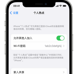 南宁apple服务站点分享iPhone上个人热点丢失了怎么办 