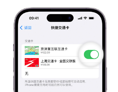 南宁apple维修点分享iPhone上更换Apple Pay快捷交通卡手绘卡面 