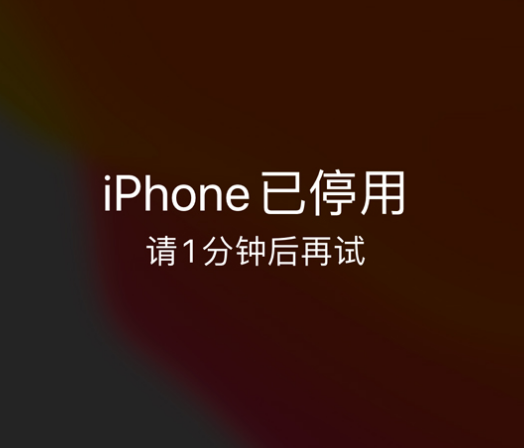 南宁苹果手机维修分享:iPhone 显示“不可用”或“已停用”怎么办？还能保留数据吗？ 