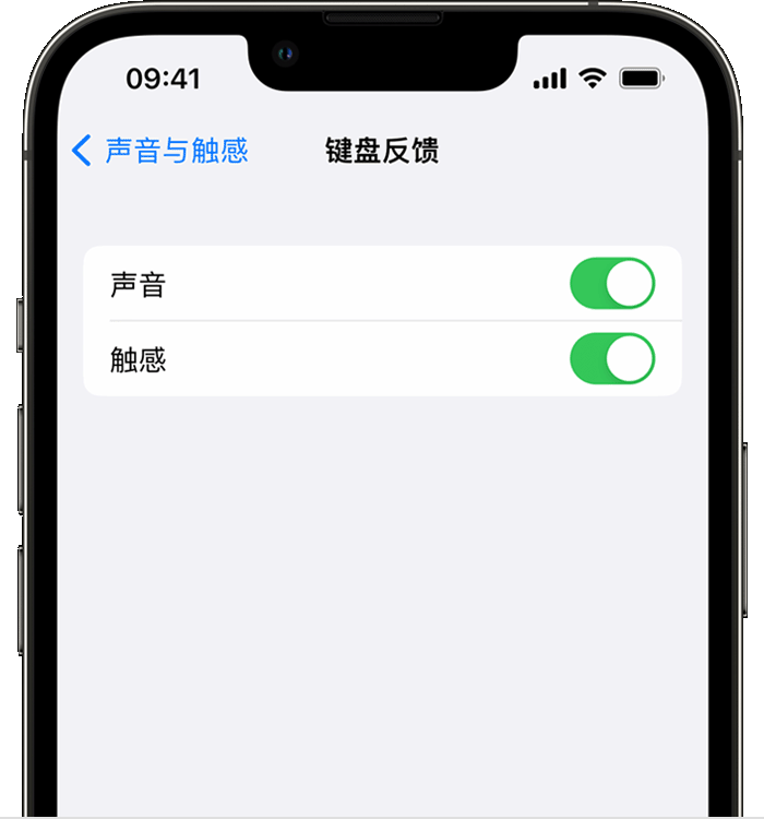 南宁苹果14维修店分享如何在 iPhone 14 机型中使用触感键盘 