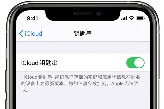 南宁苹果手机维修分享在 iPhone 上开启 iCloud 钥匙串之后会储存哪些信息 