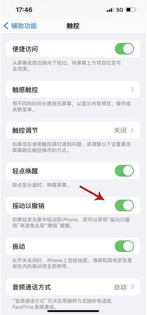 南宁苹果手机维修分享iPhone手机如何设置摇一摇删除文字 