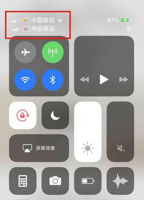 南宁苹果手机维修分享为 iPhone 12 双卡设置标签 