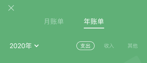 南宁苹果手机维修分享如何在 iPhone 上查看支付宝和微信年支出账单 
