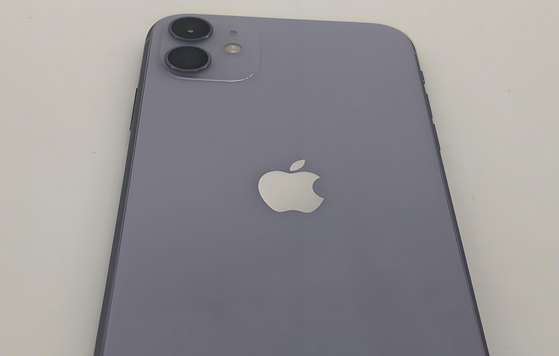 南宁苹果11系统维修分享iPhone11手机系统崩溃无法开机如何解决
